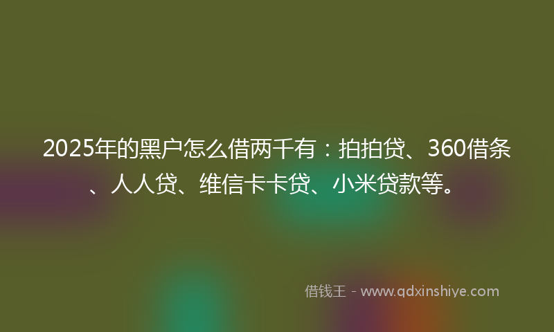 2025年的黑户怎么借两千有：拍拍贷、360借条、人人贷、维信卡卡贷、小米贷款等。