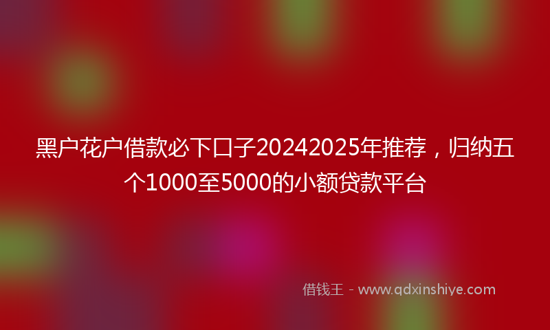 黑户花户借款必下口子20242025年推荐，归纳五个1000至5000的小额贷款平台