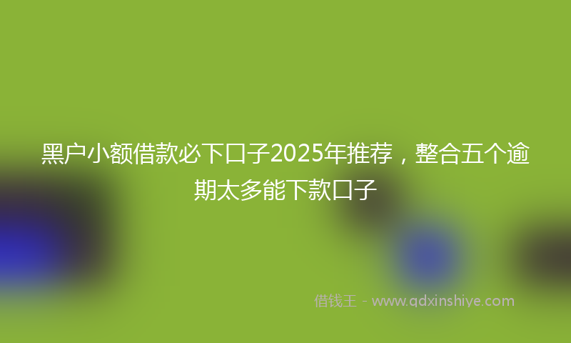黑户小额借款必下口子2025年推荐，整合五个逾期太多能下款口子