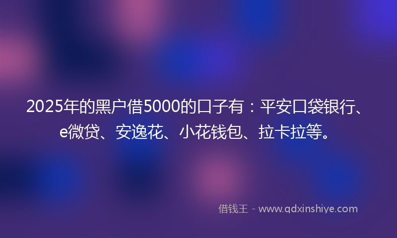 2025年的黑户借5000的口子有：平安口袋银行、e微贷、安逸花、小花钱包、拉卡拉等。
