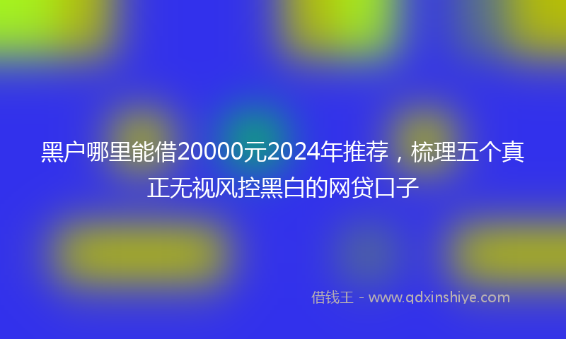 黑户哪里能借20000元2024年推荐，梳理五个真正无视风控黑白的网贷口子