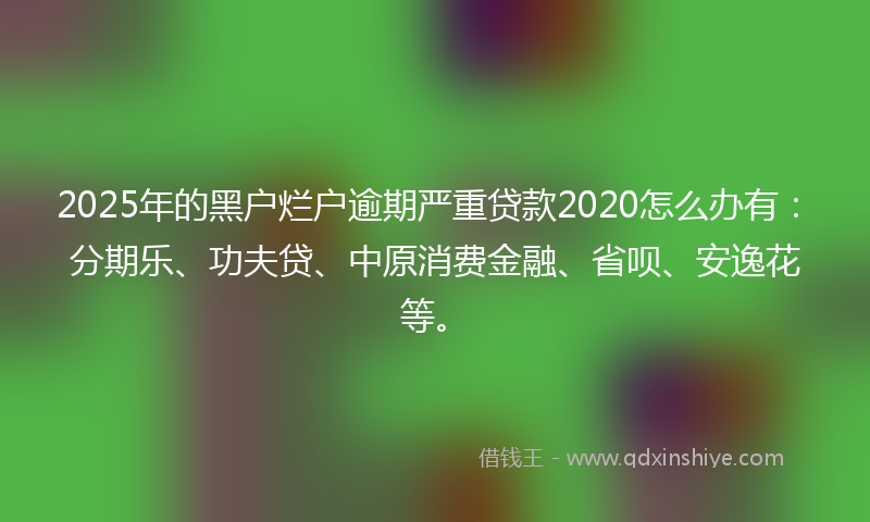2025年的黑户烂户逾期严重贷款2020怎么办有：分期乐、功夫贷、中原消费金融、省呗、安逸花等。