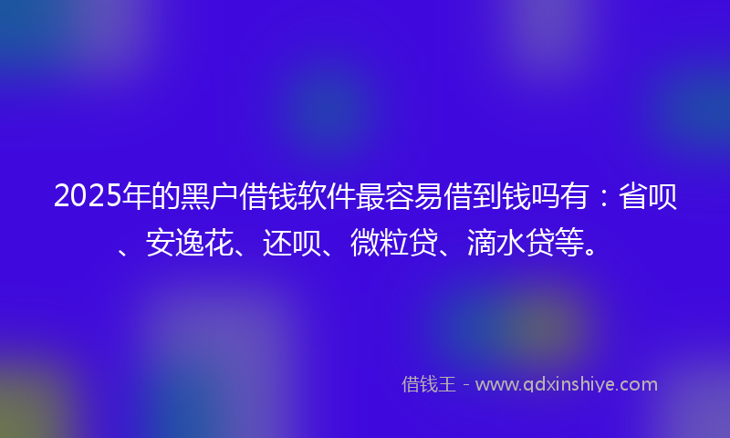 2025年的黑户借钱软件最容易借到钱吗有：省呗、安逸花、还呗、微粒贷、滴水贷等。