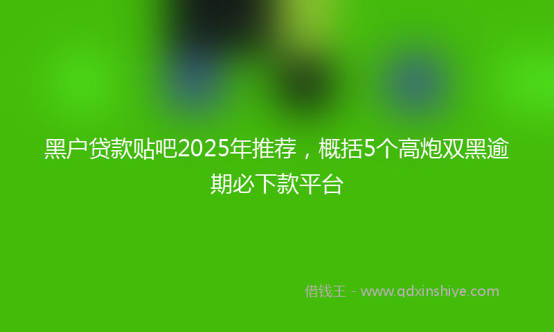 黑户贷款贴吧2025年推荐，概括5个高炮双黑逾期必下款平台