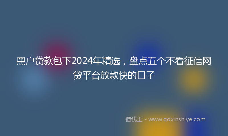 黑户贷款包下2024年精选，盘点五个不看征信网贷平台放款快的口子