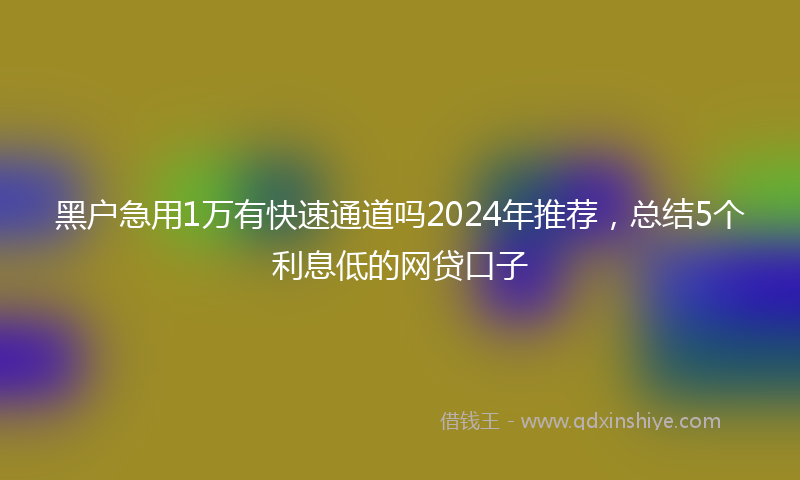 黑户急用1万有快速通道吗2024年推荐，总结5个利息低的网贷口子