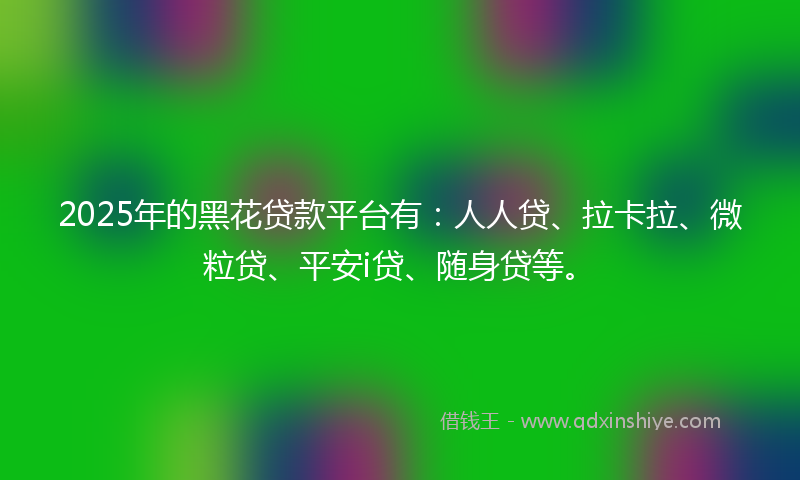 2025年的黑花贷款平台有：人人贷、拉卡拉、微粒贷、平安i贷、随身贷等。