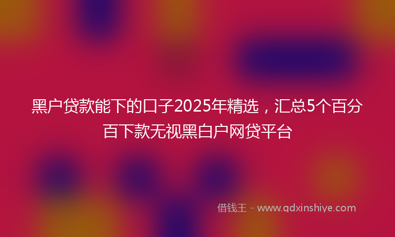 黑户贷款能下的口子2025年精选，汇总5个百分百下款无视黑白户网贷平台