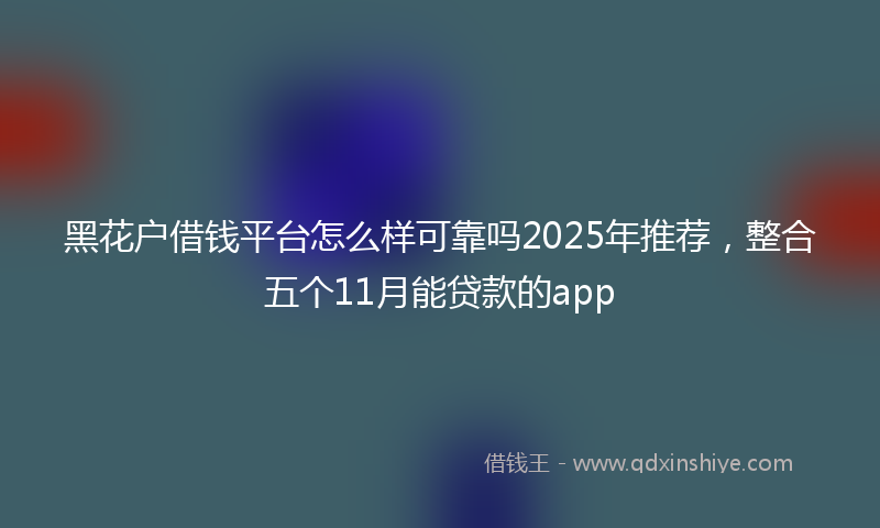 黑花户借钱平台怎么样可靠吗2025年推荐，整合五个11月能贷款的app