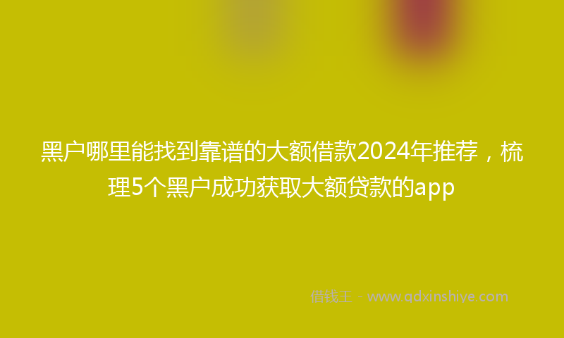 黑户哪里能找到靠谱的大额借款2024年推荐，梳理5个黑户成功获取大额贷款的app