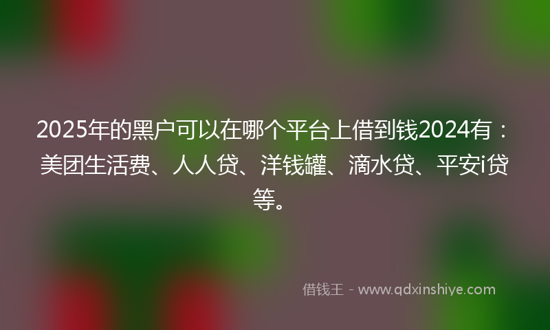 2025年的黑户可以在哪个平台上借到钱2024有：美团生活费、人人贷、洋钱罐、滴水贷、平安i贷等。