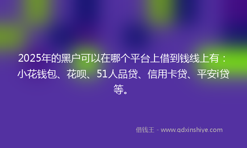 2025年的黑户可以在哪个平台上借到钱线上有：小花钱包、花呗、51人品贷、信用卡贷、平安i贷等。