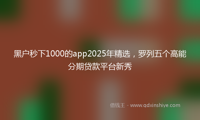 黑户秒下1000的app2025年精选，罗列五个高能分期贷款平台新秀