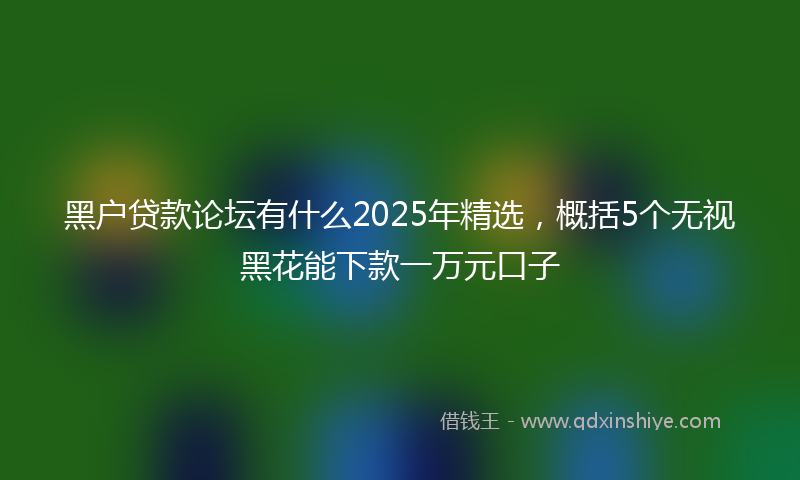 黑户贷款论坛有什么2025年精选，概括5个无视黑花能下款一万元口子