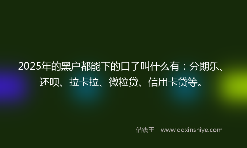 2025年的黑户都能下的口子叫什么有：分期乐、还呗、拉卡拉、微粒贷、信用卡贷等。