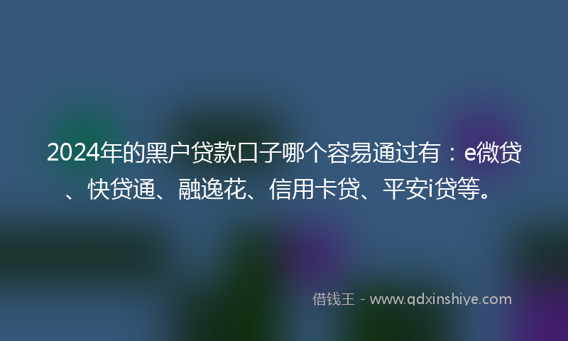 2024年的黑户贷款口子哪个容易通过有：e微贷、快贷通、融逸花、信用卡贷、平安i贷等。