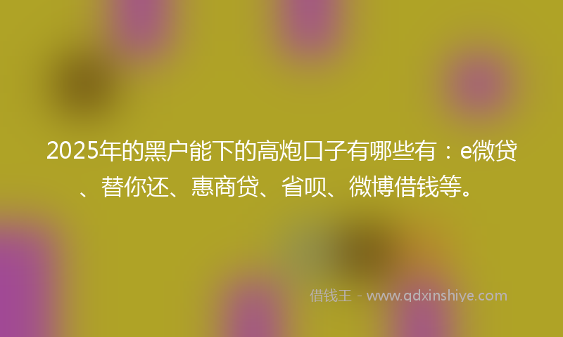 2025年的黑户能下的高炮口子有哪些有：e微贷、替你还、惠商贷、省呗、微博借钱等。