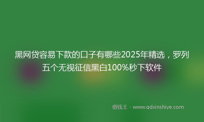 黑网贷容易下款的口子有哪些2025年精选，罗列五个无视征信黑白100%秒下软件