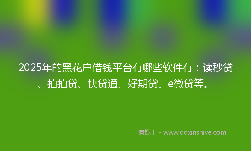 2025年的黑花户借钱平台有哪些软件有：读秒贷、拍拍贷、快贷通、好期贷、e微贷等。