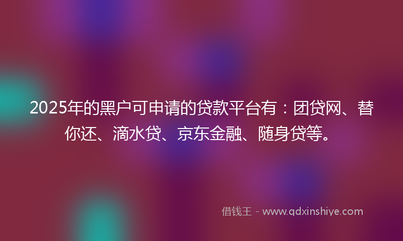 2025年的黑户可申请的贷款平台有：团贷网、替你还、滴水贷、京东金融、随身贷等。