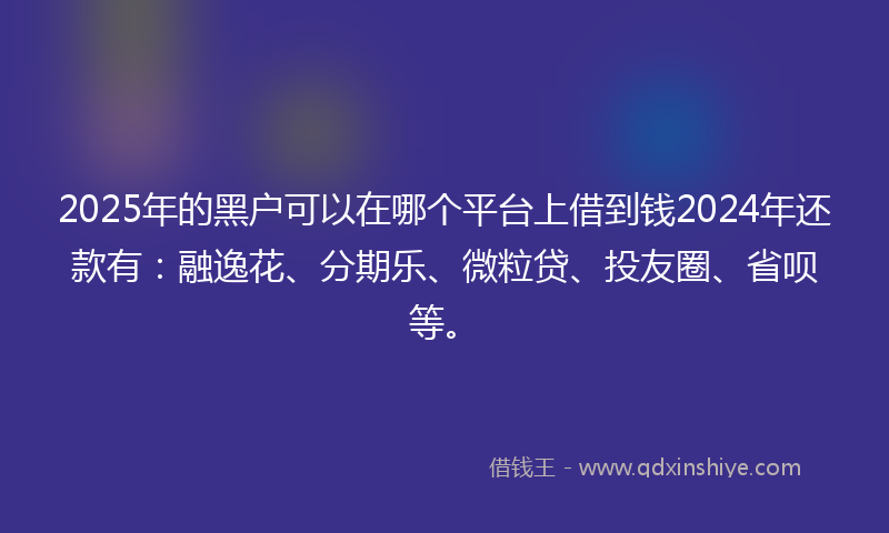 2025年的黑户可以在哪个平台上借到钱2024年还款有：融逸花、分期乐、微粒贷、投友圈、省呗等。