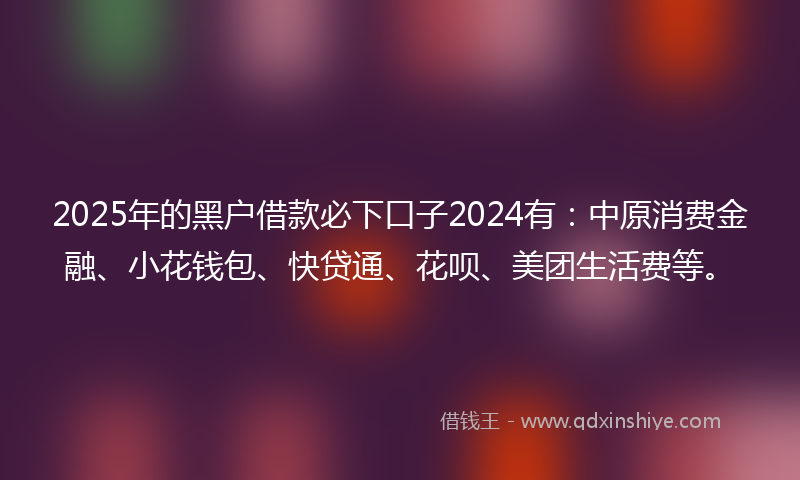 2025年的黑户借款必下口子2024有：中原消费金融、小花钱包、快贷通、花呗、美团生活费等。