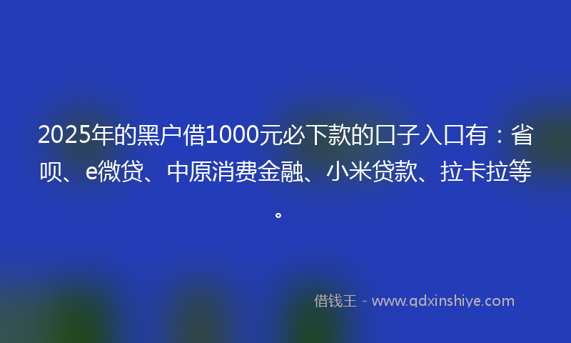 2025年的黑户借1000元必下款的口子入口有：省呗、e微贷、中原消费金融、小米贷款、拉卡拉等。