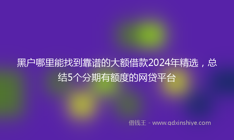 黑户哪里能找到靠谱的大额借款2024年精选，总结5个分期有额度的网贷平台