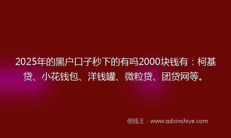 2025年的黑户口子秒下的有吗2000块钱有：柯基贷、小花钱包、洋钱罐、微粒贷、团贷网等。