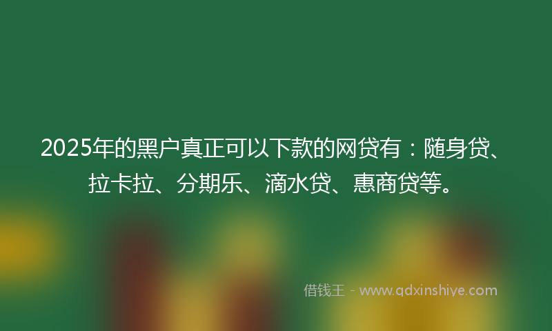 2025年的黑户真正可以下款的网贷有：随身贷、拉卡拉、分期乐、滴水贷、惠商贷等。