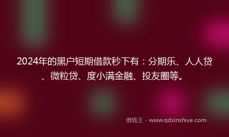 2024年的黑户短期借款秒下有：分期乐、人人贷、微粒贷、度小满金融、投友圈等。