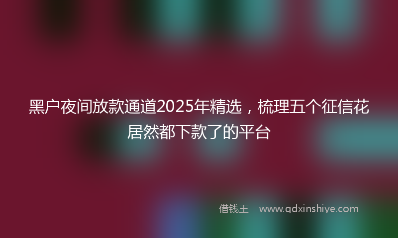 黑户夜间放款通道2025年精选，梳理五个征信花居然都下款了的平台