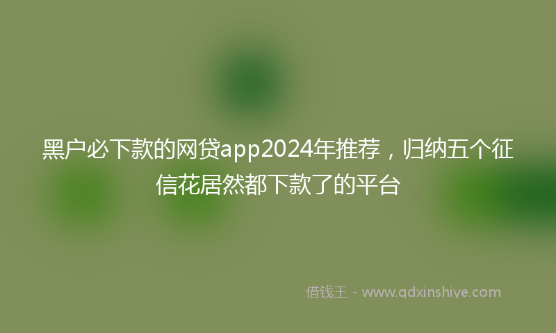 黑户必下款的网贷app2024年推荐，归纳五个征信花居然都下款了的平台
