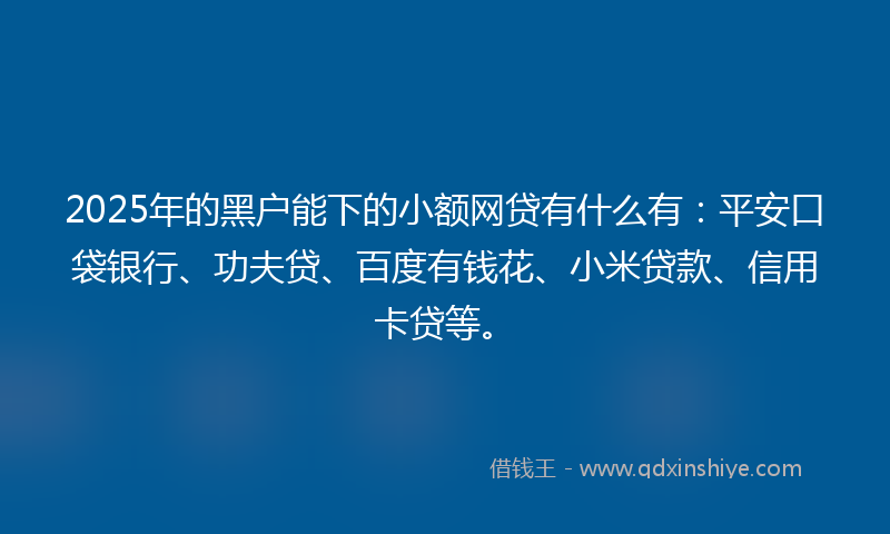 2025年的黑户能下的小额网贷有什么有：平安口袋银行、功夫贷、百度有钱花、小米贷款、信用卡贷等。