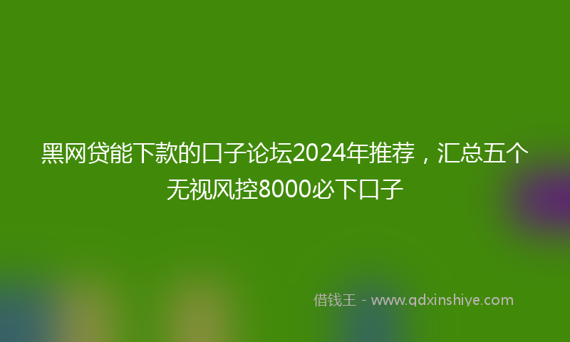 黑网贷能下款的口子论坛2024年推荐，汇总五个无视风控8000必下口子