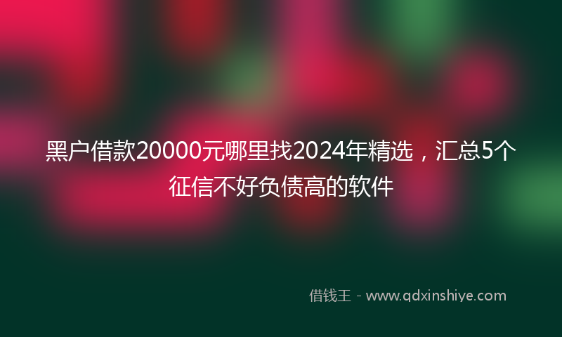 黑户借款20000元哪里找2024年精选，汇总5个征信不好负债高的软件