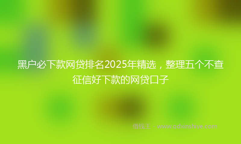 黑户必下款网贷排名2025年精选，整理五个不查征信好下款的网贷口子