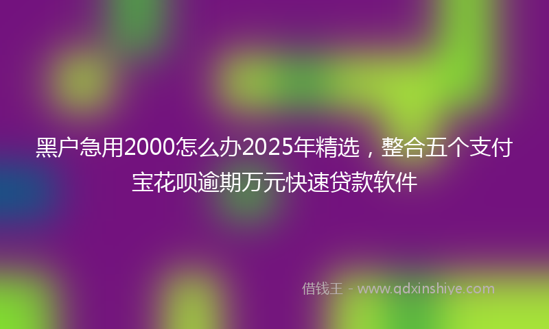 黑户急用2000怎么办2025年精选，整合五个支付宝花呗逾期万元快速贷款软件