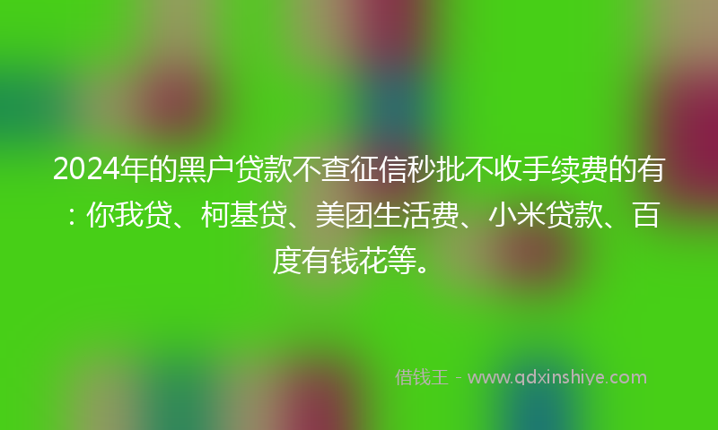 2024年的黑户贷款不查征信秒批不收手续费的有：你我贷、柯基贷、美团生活费、小米贷款、百度有钱花等。