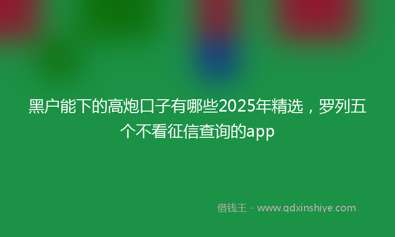黑户能下的高炮口子有哪些2025年精选，罗列五个不看征信查询的app