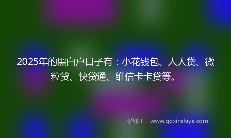 2025年的黑白户口子有：小花钱包、人人贷、微粒贷、快贷通、维信卡卡贷等。
