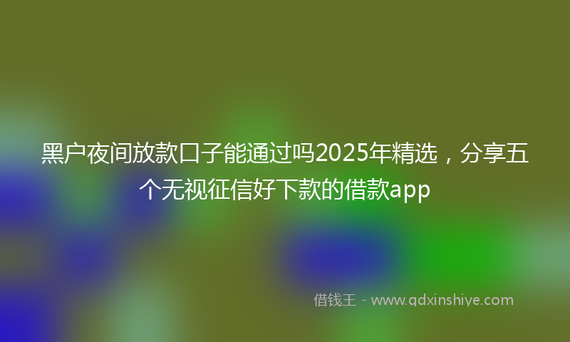 黑户夜间放款口子能通过吗2025年精选，分享五个无视征信好下款的借款app