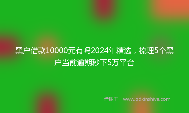 黑户借款10000元有吗2024年精选，梳理5个黑户当前逾期秒下5万平台