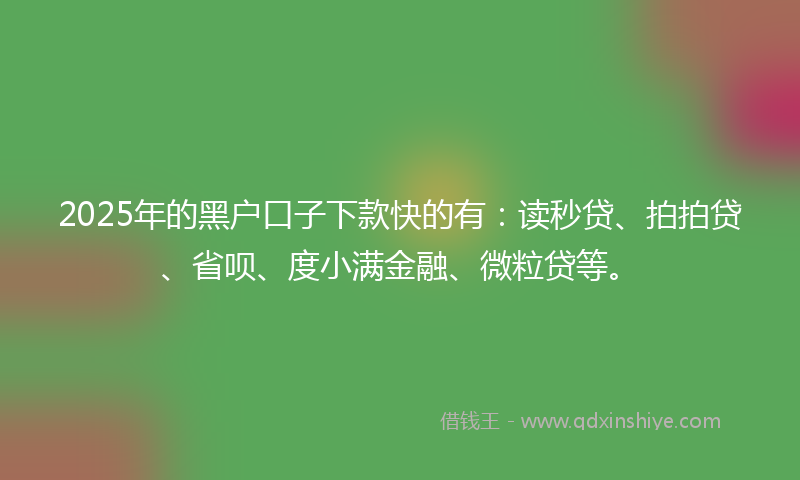 2025年的黑户口子下款快的有：读秒贷、拍拍贷、省呗、度小满金融、微粒贷等。