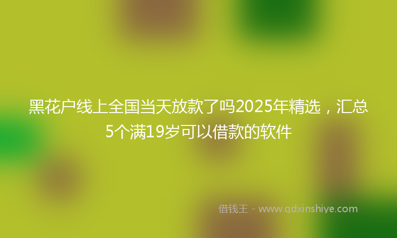 黑花户线上全国当天放款了吗2025年精选，汇总5个满19岁可以借款的软件