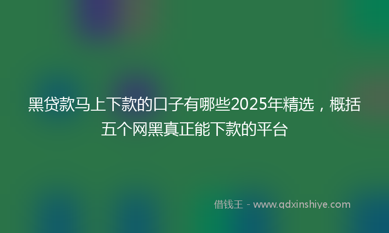 黑贷款马上下款的口子有哪些2025年精选，概括五个网黑真正能下款的平台