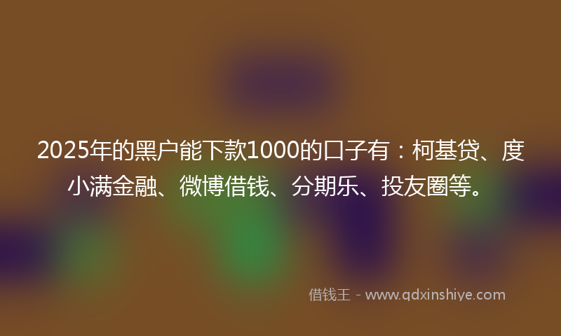 2025年的黑户能下款1000的口子有：柯基贷、度小满金融、微博借钱、分期乐、投友圈等。