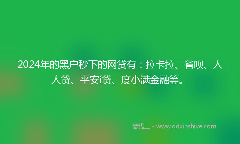 2024年的黑户秒下的网贷有：拉卡拉、省呗、人人贷、平安i贷、度小满金融等。