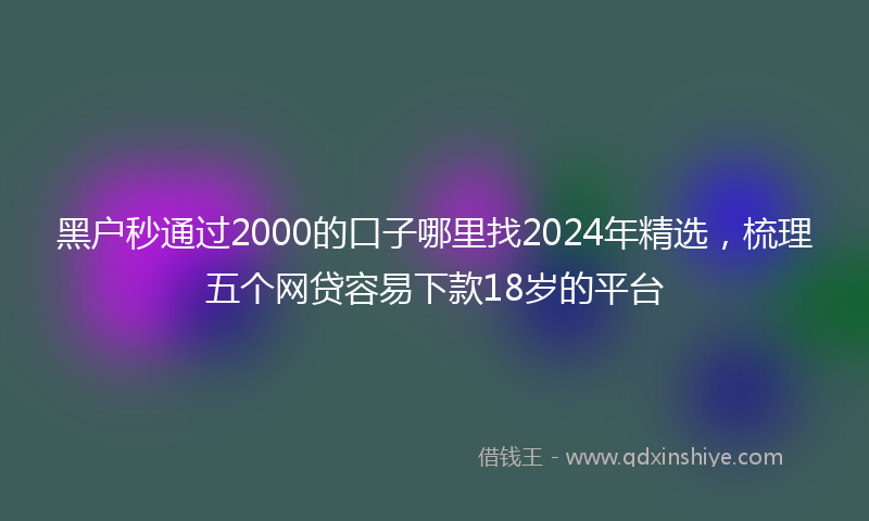 黑户秒通过2000的口子哪里找2024年精选，梳理五个网贷容易下款18岁的平台