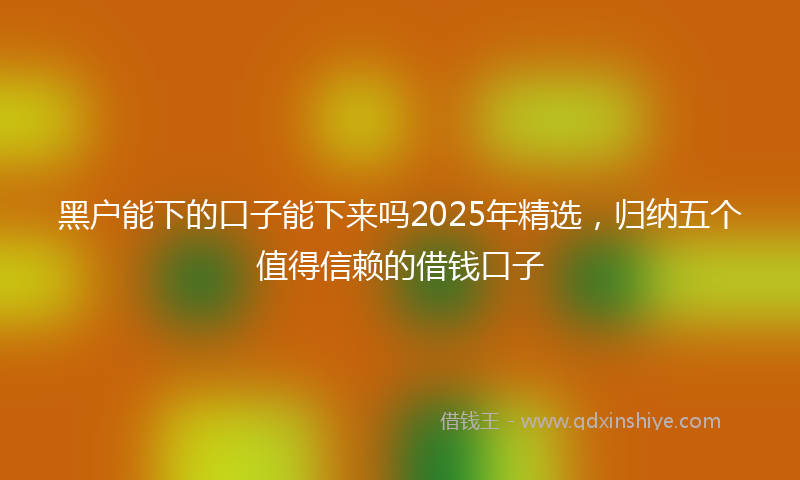 黑户能下的口子能下来吗2025年精选，归纳五个值得信赖的借钱口子
